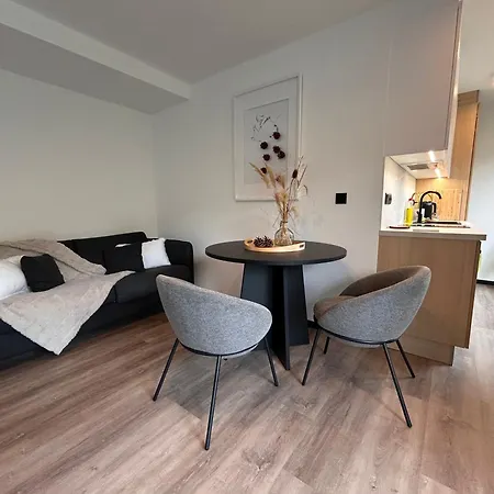 Apartmán Podlesí Havířov