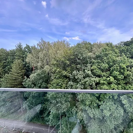 Apartmán Podlesí *
