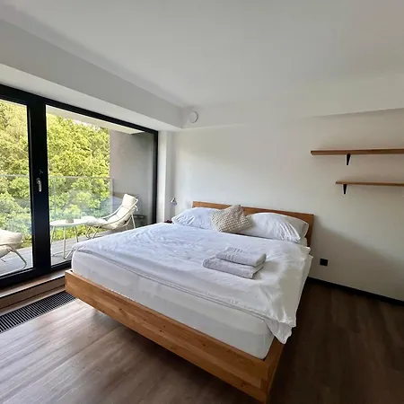 Apartmán Podlesí *