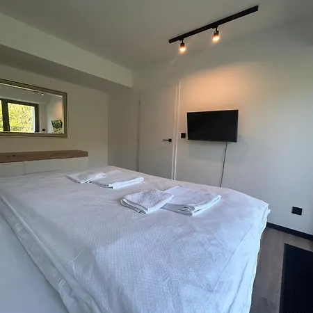 Apartmán Podlesí *