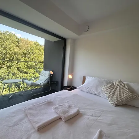 Apartmán Podlesí